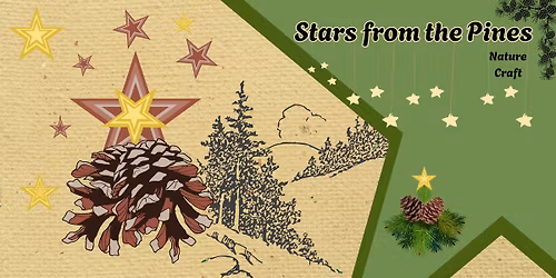 Stars from the Pines