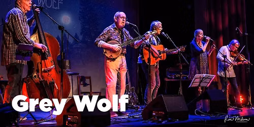 Grey Wolf in Concert