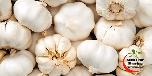 Garlic Class & Garlic Giveaway