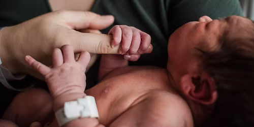 Holiday Mini Session