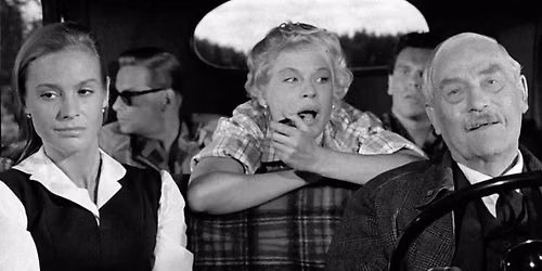 Wild Strawberries in 35mm