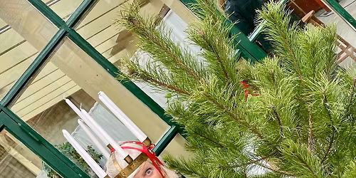 Luciamorgon på bageriet 