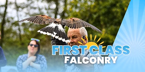 Summer at Aldingbourne: First Class Falconry