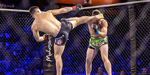 Reality Fighting: A Night of MMA Fights and Grappling Superfights