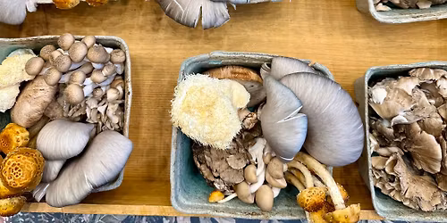 Yardley Farmers\u2019 Market Indoor Winter Market