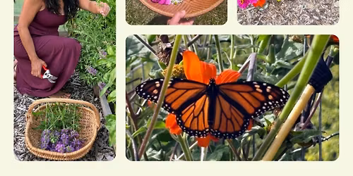 Garden Tour + Plant Sale