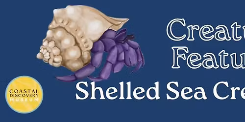 Creature Feature: Shelled Sea Creatures