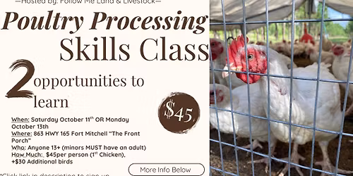 SKILLS CLASS: Chicken harvest
