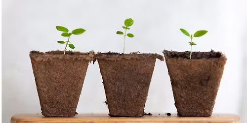 FREE Seed Starting Hands-on Classes