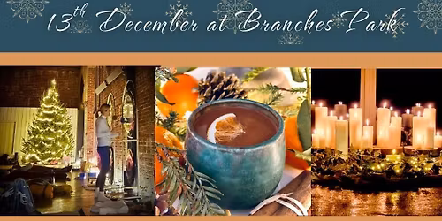 Winter Solstice at Branches Park - Yoga, Cacao, Sound & Ritual