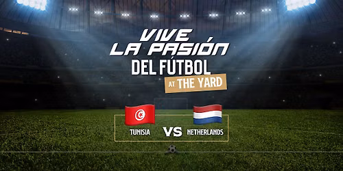 Tunisia vs Netherlands | FIFA World Cup