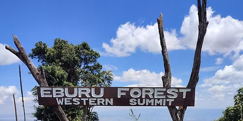 Eburu Forest- Western Summit Hike