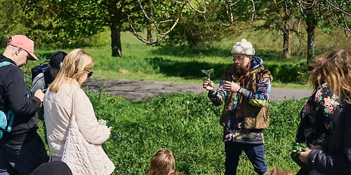 Urban foraging walk & soda making workshop