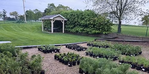 Perennial Plant Sale