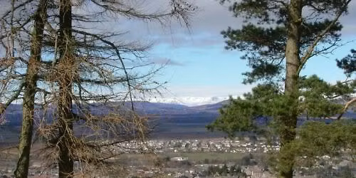 Mistletoe Makers Market