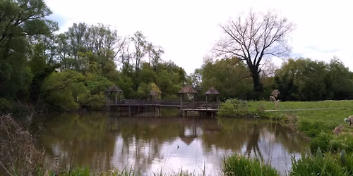 \ud83c\udf3f Balade G\u00e9obiologique \u00e0 Wavrin (59) \u2013 \u00c0 la rencontre des \u00e9nergies de la Terre