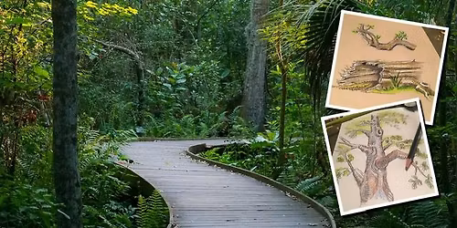 Nature Journaling at the Jacksonville Arboretum.