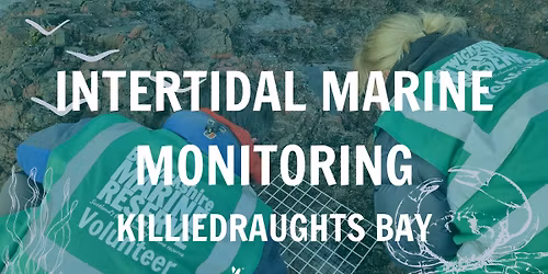 Intertidal Marine Monitoring - Killiedraughts Bay