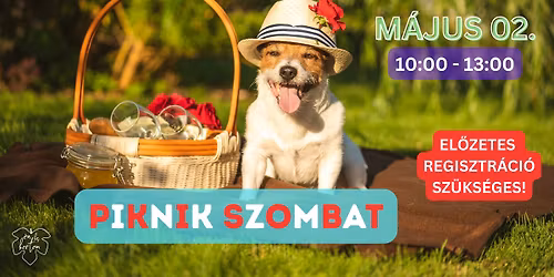 Piknik az \u00c9n Kis Kertemben \ud83c\udf3f\ud83e\uddfa