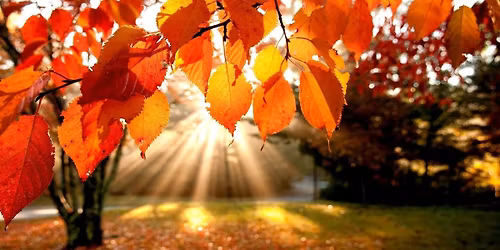 Rest and Rejuvenate ~ New Rhythms