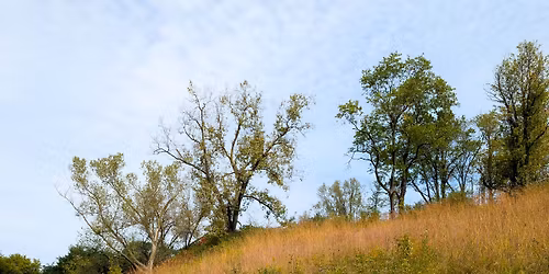 Sauk Prairie Hillside Remnant Remediation Work  - Tasks TBD