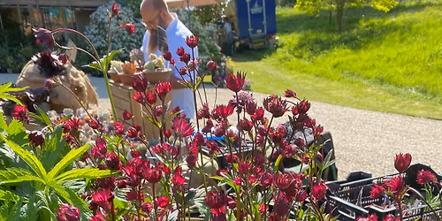 Rare Plant Fair, Salthrop House, Wroughton, Nr. Swindon