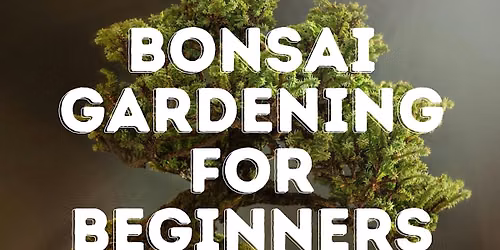 Bonsai Gardening for Beginners