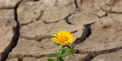 It is never winter in the land of Hope