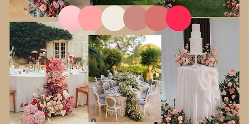Pink Elegance: An Editorial Experience