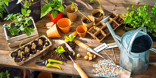 It's Planting Party Saturdays again!