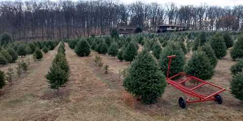 Holiday Mini Session