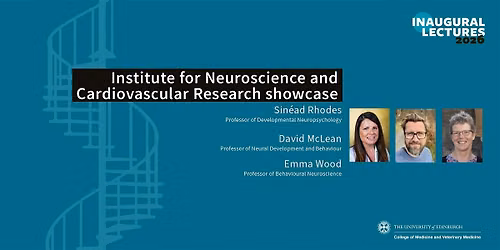 Institute for Neuroscience and Cardiovascular Research Inaugural Lecture