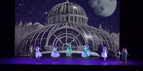 The Brooklyn Nutcracker