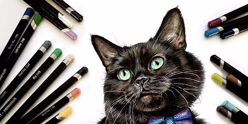 Draw your own Animal \/ Pet portrait with Sophie Bliss Kilpatrick- 2 week