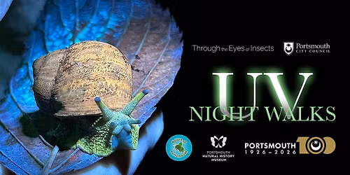 Portsmouth Natural History Museum UV Night Walk