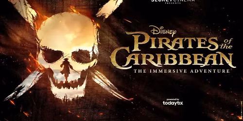 The Pirates of the Caribbean - Film
