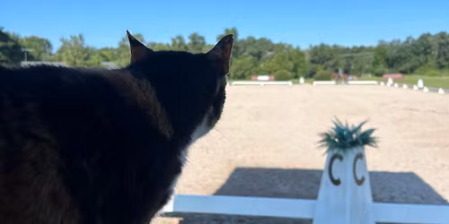 ADA Dressage Show \u2014 June