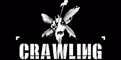 Crawling - Linkin Park Tribute
