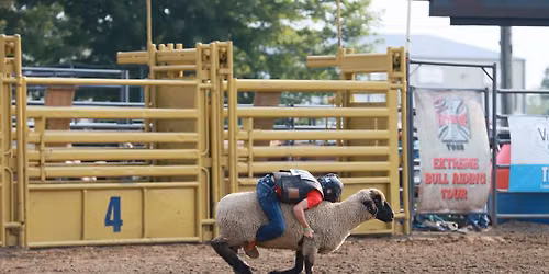 Mutton Bustin