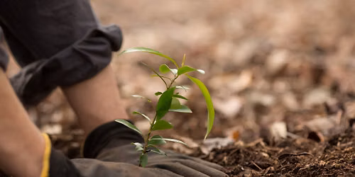 Grow Your Garden, Grow Your Resilience