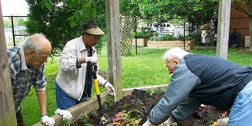 Lifelong Gardening: Making Gardens More Accessible