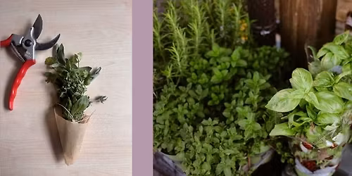 From Garden to Bundle