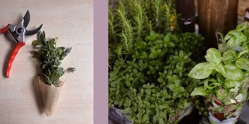 From Garden to Bundle