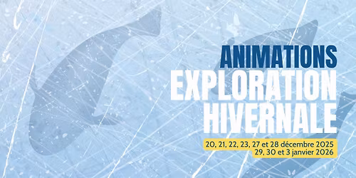 Exploration hivernale - Animations
