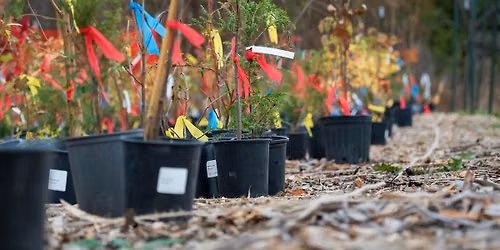 Little Forests Durham - Mini Forest Planting Day @ Windsor Bay Park, Whitby