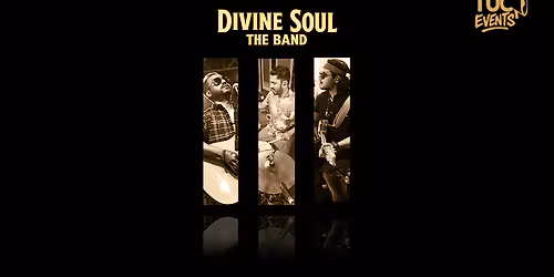 Divine Soul Band - Live Music