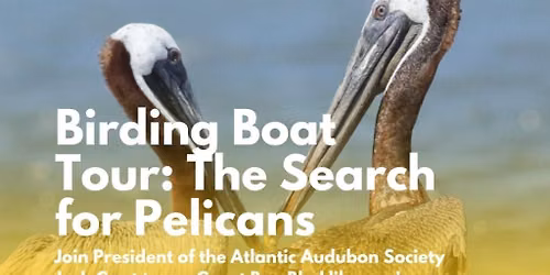 Birding Boat Tour: The Search for Pelicans
