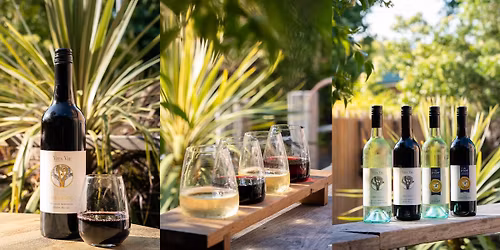 MEET THE MAKER | Wine Tasting with The Wine Hub at Resin