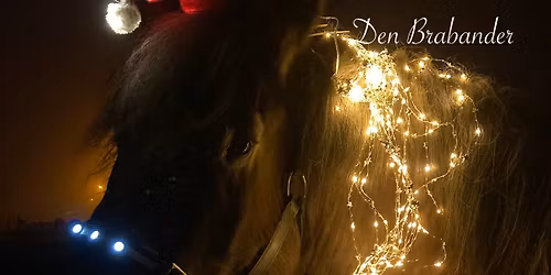 Lichtjesstoet Den Brabander Nederokkerzeel