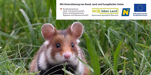 Vortrag: Der Feldhamster \u2013 ein gef\u00e4hrdeter Bewohner unserer Agrarlandschaft mit ungewisser Zukunft